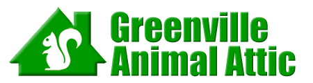 Greenville Animal Attic